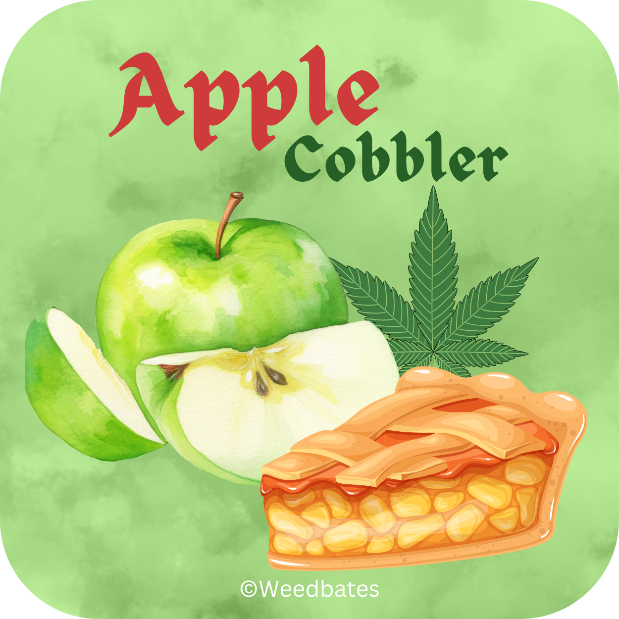 Apple Cobbler cannabis strain