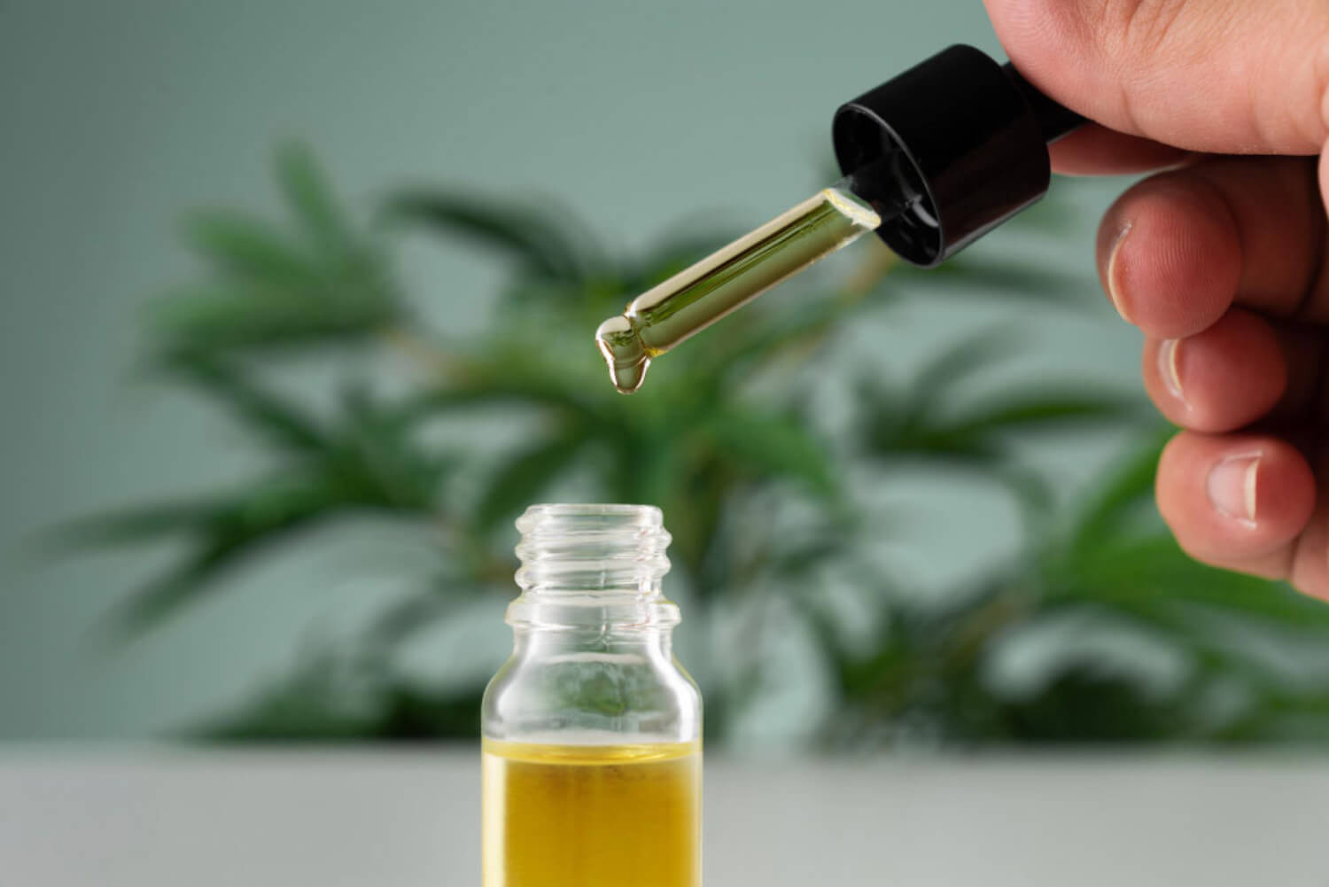 cannabis oil extract