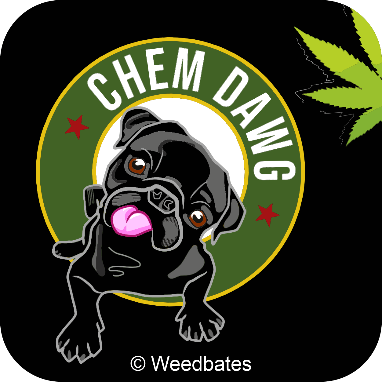 growing Chemdawg marijuana strain