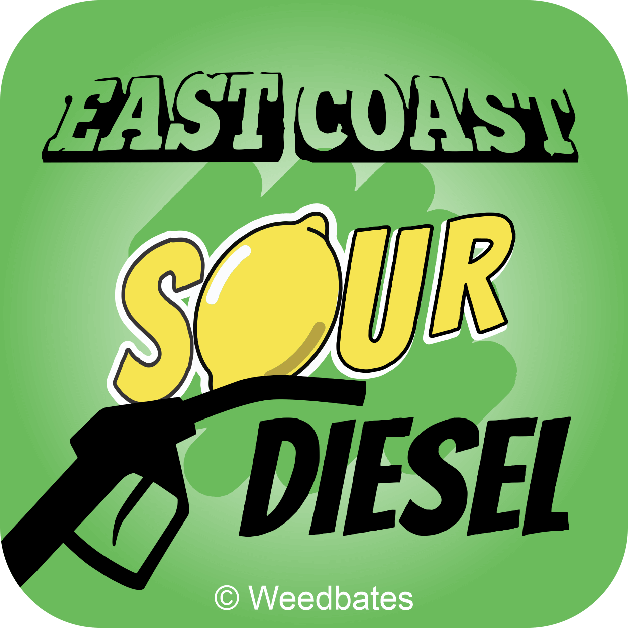  East Coast Sour Diesel Strain