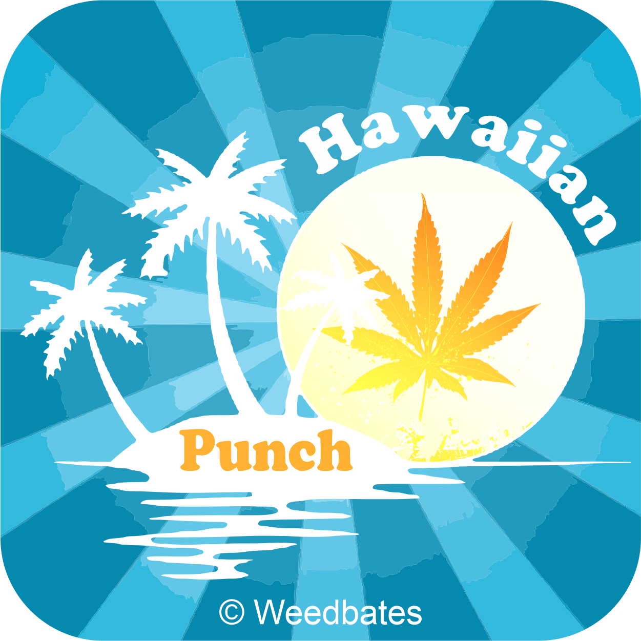 Hawaiian Punch strain