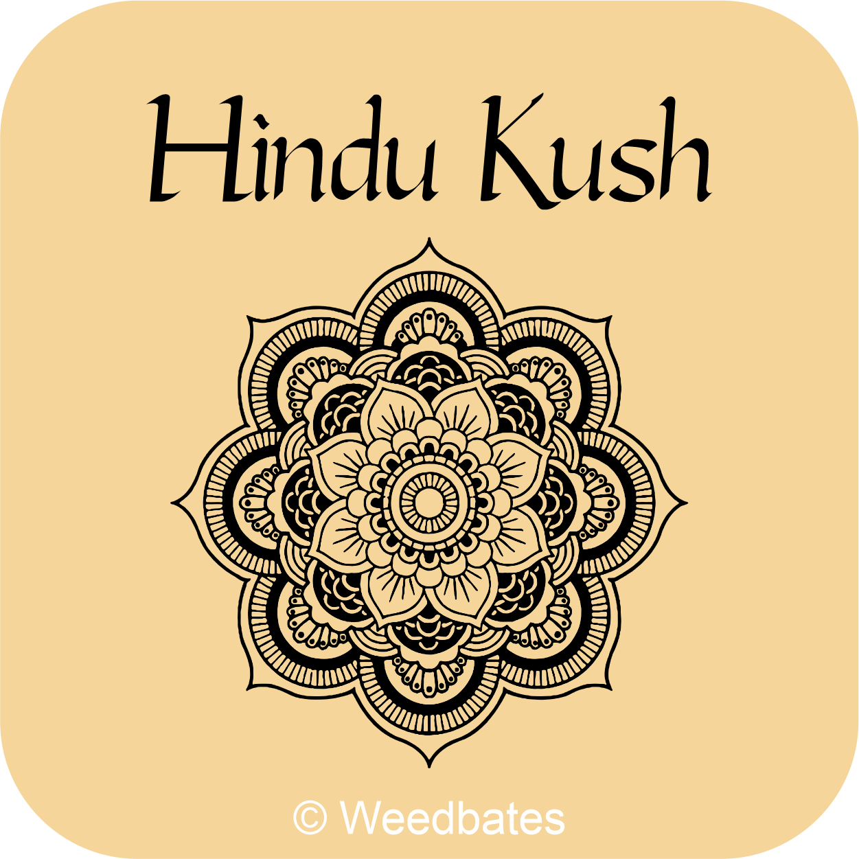 Hindu Kush effects