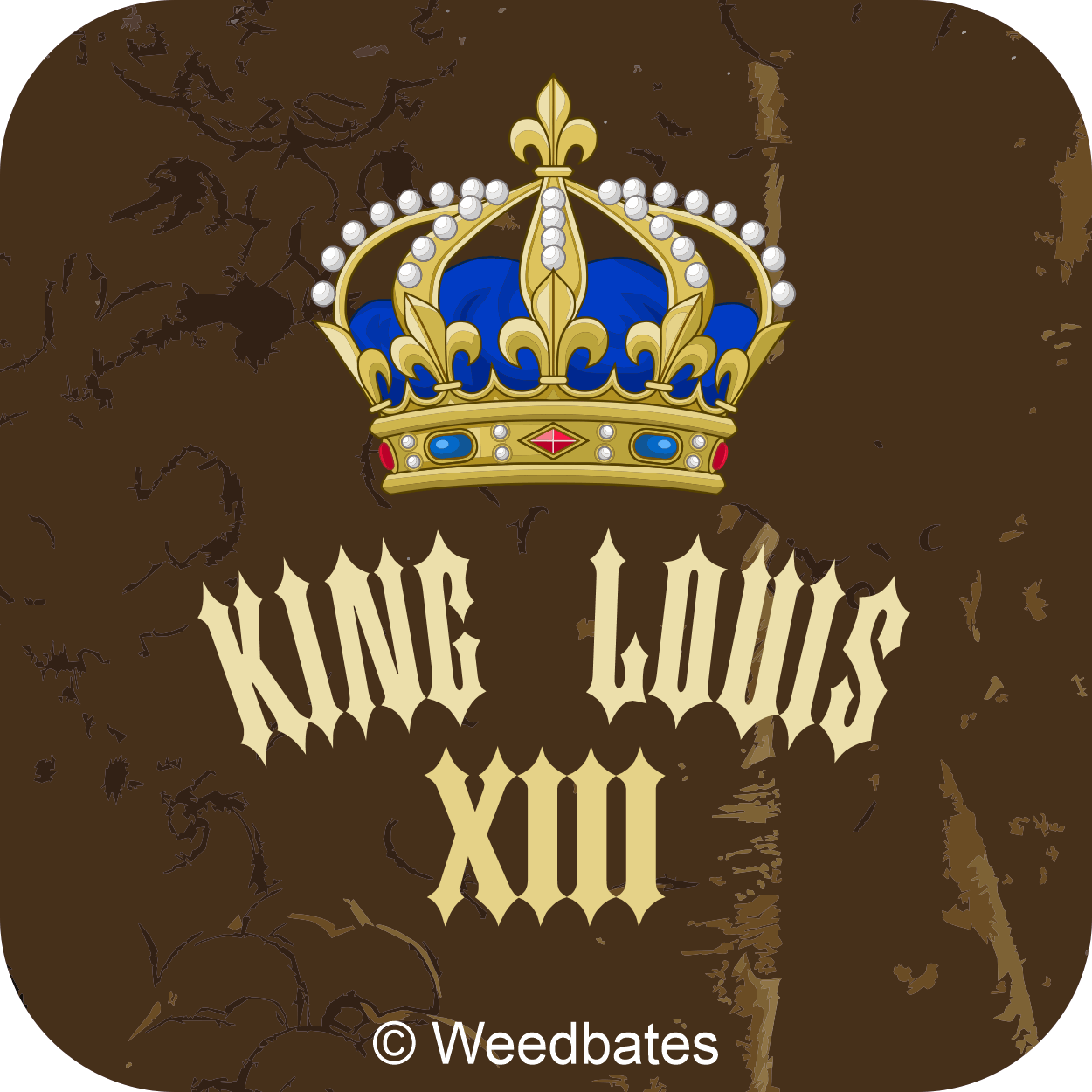 King Louis XIII marijuana