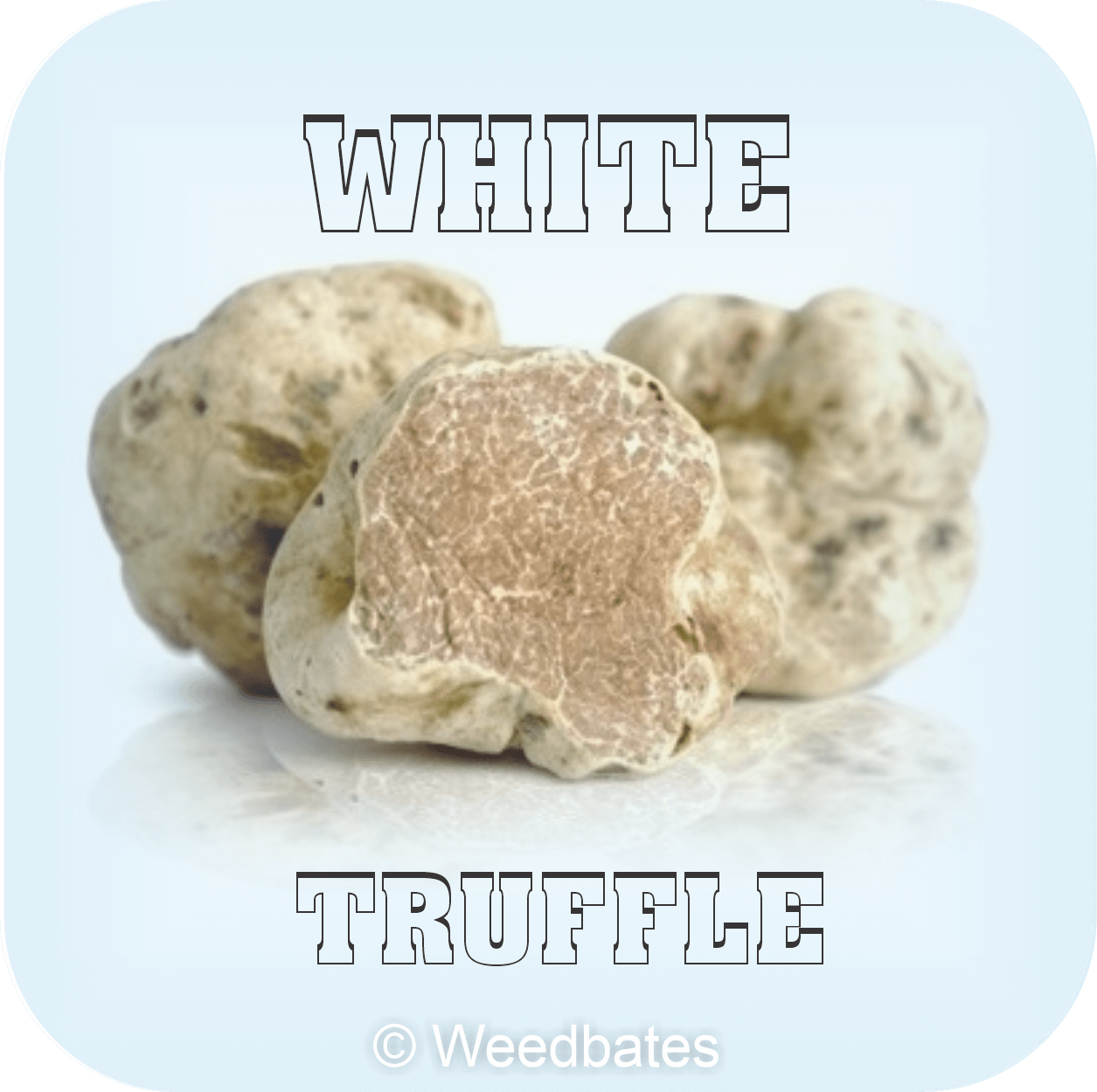 White Truffle strain