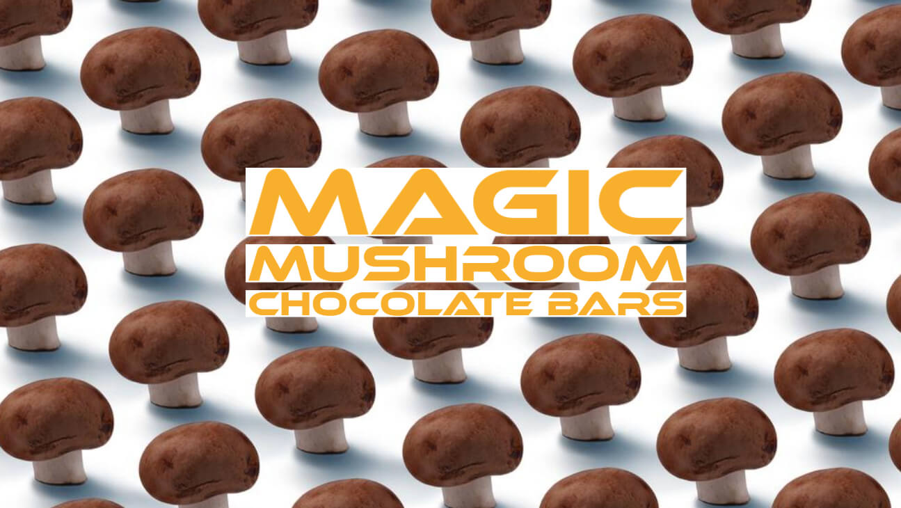 Magic Mushrooms Chocolate Bars