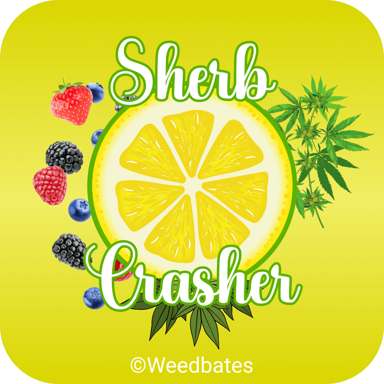 growing Sherb Crasher weed
