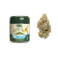 Tropicanna Premium Cannabis FlowerTropicanna Premium Cannabis Flower