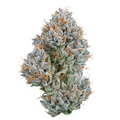 Kush Mountains Premium Cannabis FlowerKush Mountains Premium Cannabis Flower