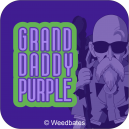 Granddaddy Purple strain