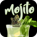 Mojito cannabis strain