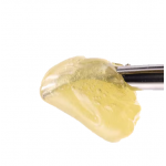 710 Labs: Grease Bucket #9 T3 Persy Rosin