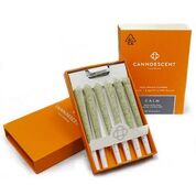 Canndescent Calm 117 .5g Pre-roll 6 Pack