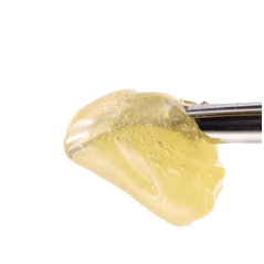 710 Labs: Durian #18 T3 Persy Rosin
