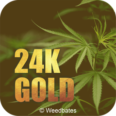 24k Gold weed