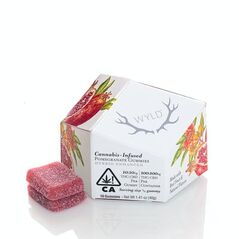 Pomegranate 1:1 CBD + Hybrid Enhanced Gummies 100:100mg