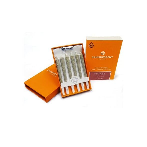 Canndescent Charge 508 .5g Pre-roll 6 Pack